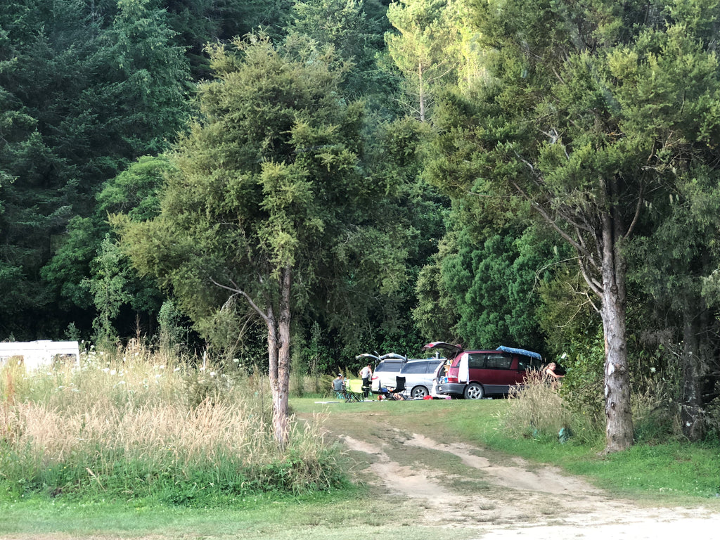 Freedom Camping in NZ - How to do it right!